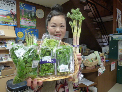 飛騨の山菜✿天ぷら三昧♪