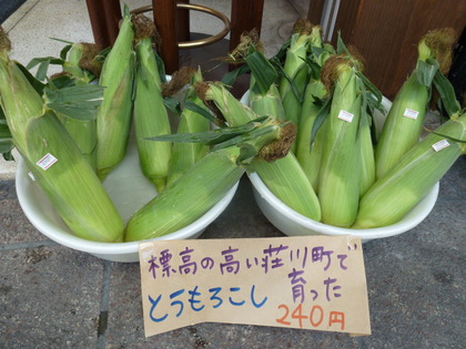 荘川の高原とうもろこし！甘いよ！！
