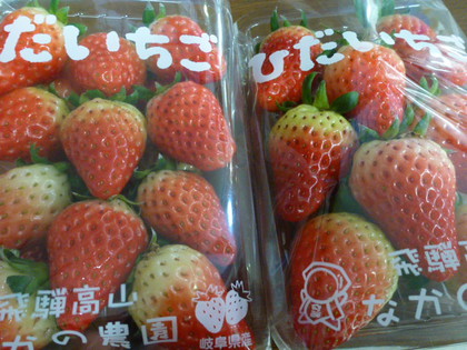 とっても甘～い飛騨高山産いちご☆