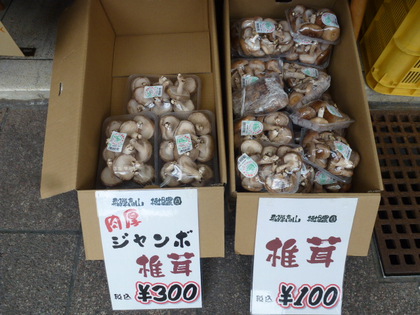 久々の！