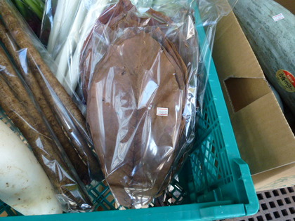 まるっと通信11月号発刊しました！