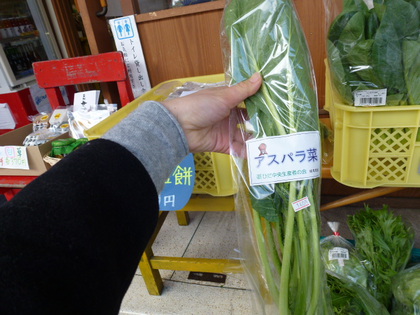 道の駅なぎさの大人気アップルパイの予約、まだまだ大丈夫です！