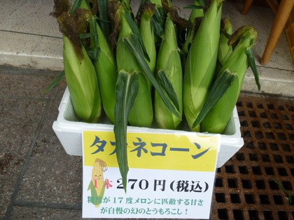 長谷川京子さんの…LEE連載にて。