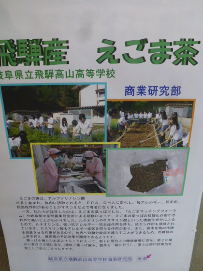 飛騨高山高校のえごま茶、限定販売！