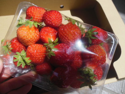 手作りいちごジャム✿