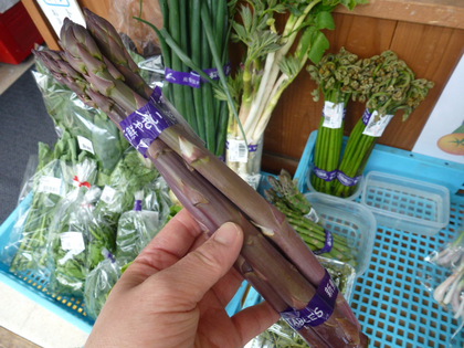 紫のアスパラ?!紫の小松菜?!赤いジクのほうれん草?!