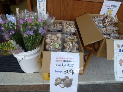 緊急値下げ!!!