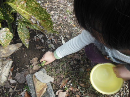 春の香り✿