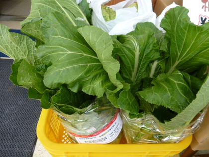 LOVE♡冬野菜?!