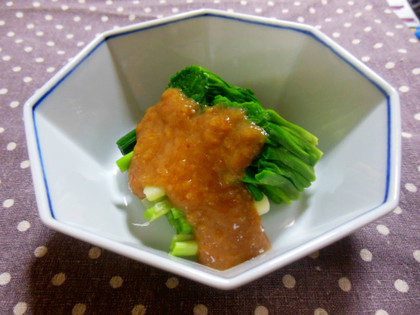 飛騨の雛祭り✿