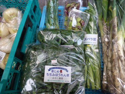 LOVE♡冬野菜?!