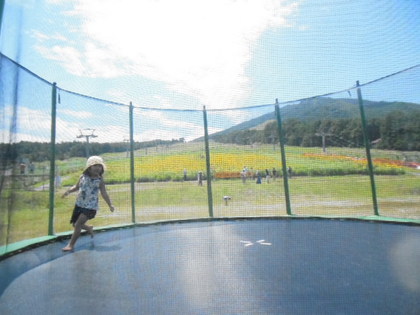 アルコピアひまわり園❁