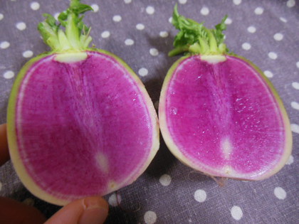 鍋が美味しい季節です♪