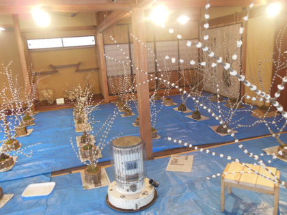 飛騨の里で花餅作り体験☆