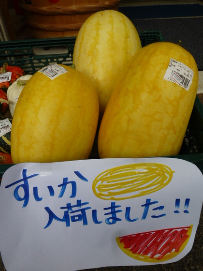 スイカ♪初入荷！