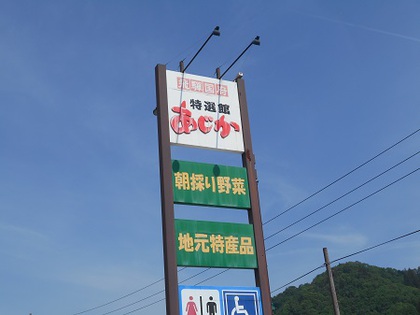 青朴葉入荷‼