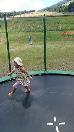アルコピアひまわり園