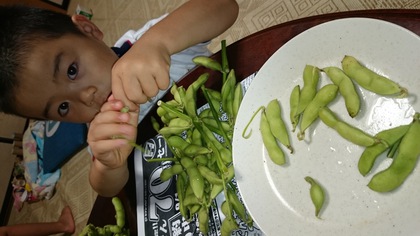 枝豆ずんだあん！