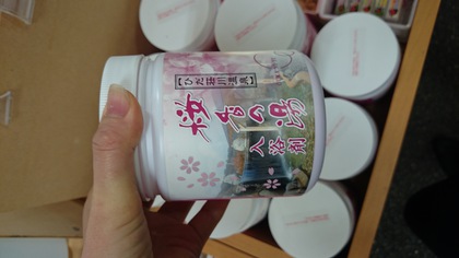 荘川に遊びに行きました！