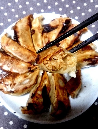 もう食べましたか(。´･ω･)?