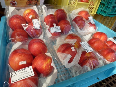 秋の味覚が集結♪