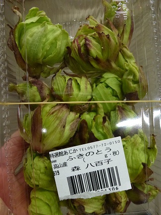 初入荷✿ふきのとう