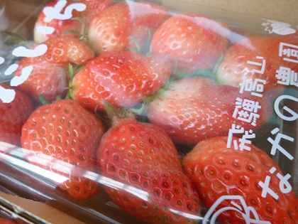 今季初入荷ひだいちご