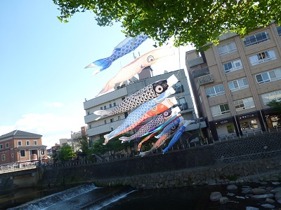 宮川の鯉のぼり☆