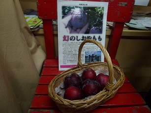 しおやもも、まもなく終盤です！！