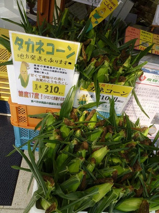 朝採れタカネコーン入荷しました☆