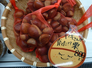 食欲の秋！！栗のご紹介！！　