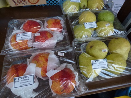 秋の味覚が集結♪
