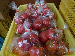 トマト入荷(^▽^)/