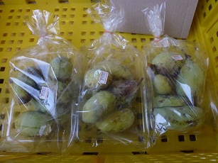 ポポー入荷♬