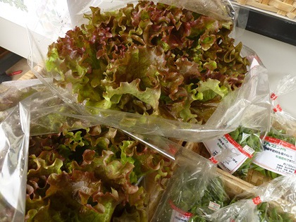 今日も新鮮地野菜届きましたよ～