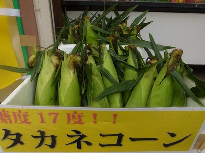 タカネの手作りキーホルダー