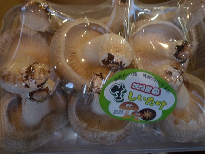 綺麗な椎茸(ﾟДﾟ;)