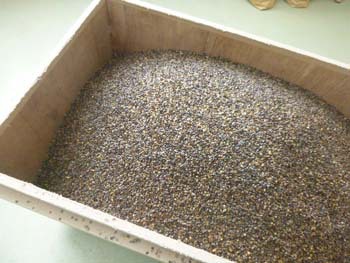 そばの里荘川の未来を担う企業