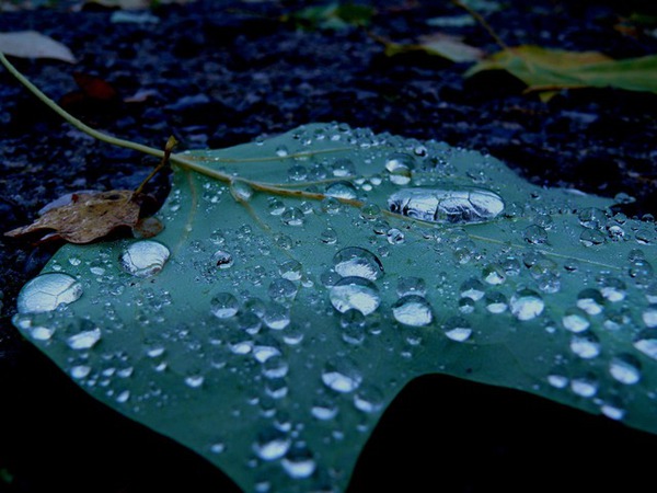 こんな雨の日には・・・。