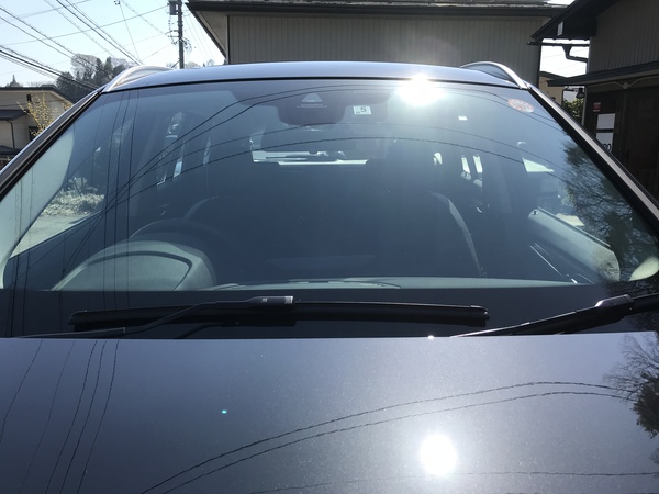 海釣りに行きたい気持ちを抑えて、仕事仕事〜‼︎^_^