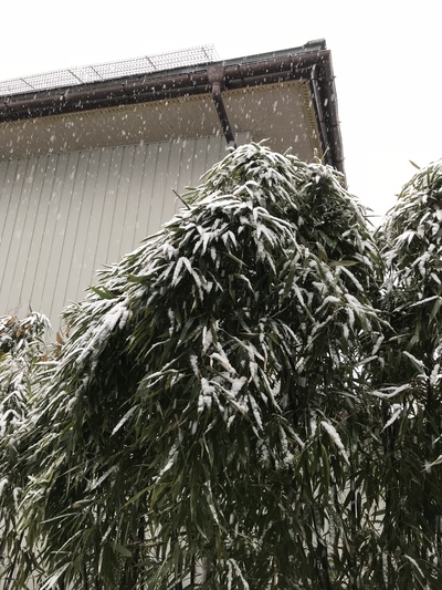 寒いのにあたたかい！？