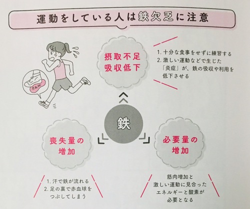 鉄欠乏に注意