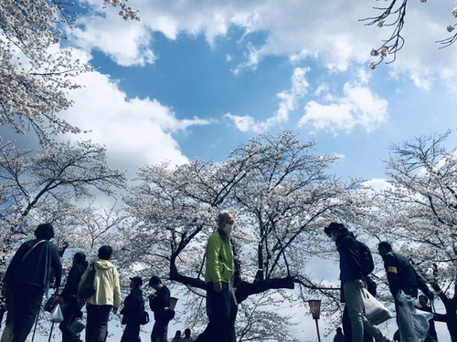 津山さくらまつり