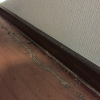 畳替えで思わぬ発見が‼︎ 2016/09/19 21:08:19