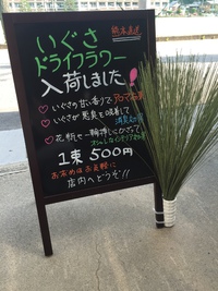 機能性抜群！お洒落ないぐさドライフラワー入荷しました(^^) 2016/06/15 09:35:14