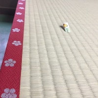 迎春気分を盛り立てる 2015/12/11 17:54:00