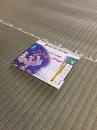 桜の開花はまだまだ先ですが 2017/03/20 12:52:02