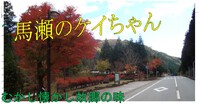 商品　紹介