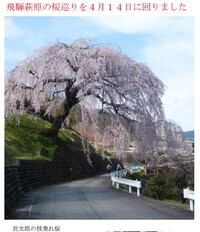 飛騨萩原の桜めぐり