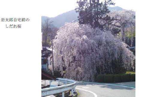 飛騨萩原の桜めぐり